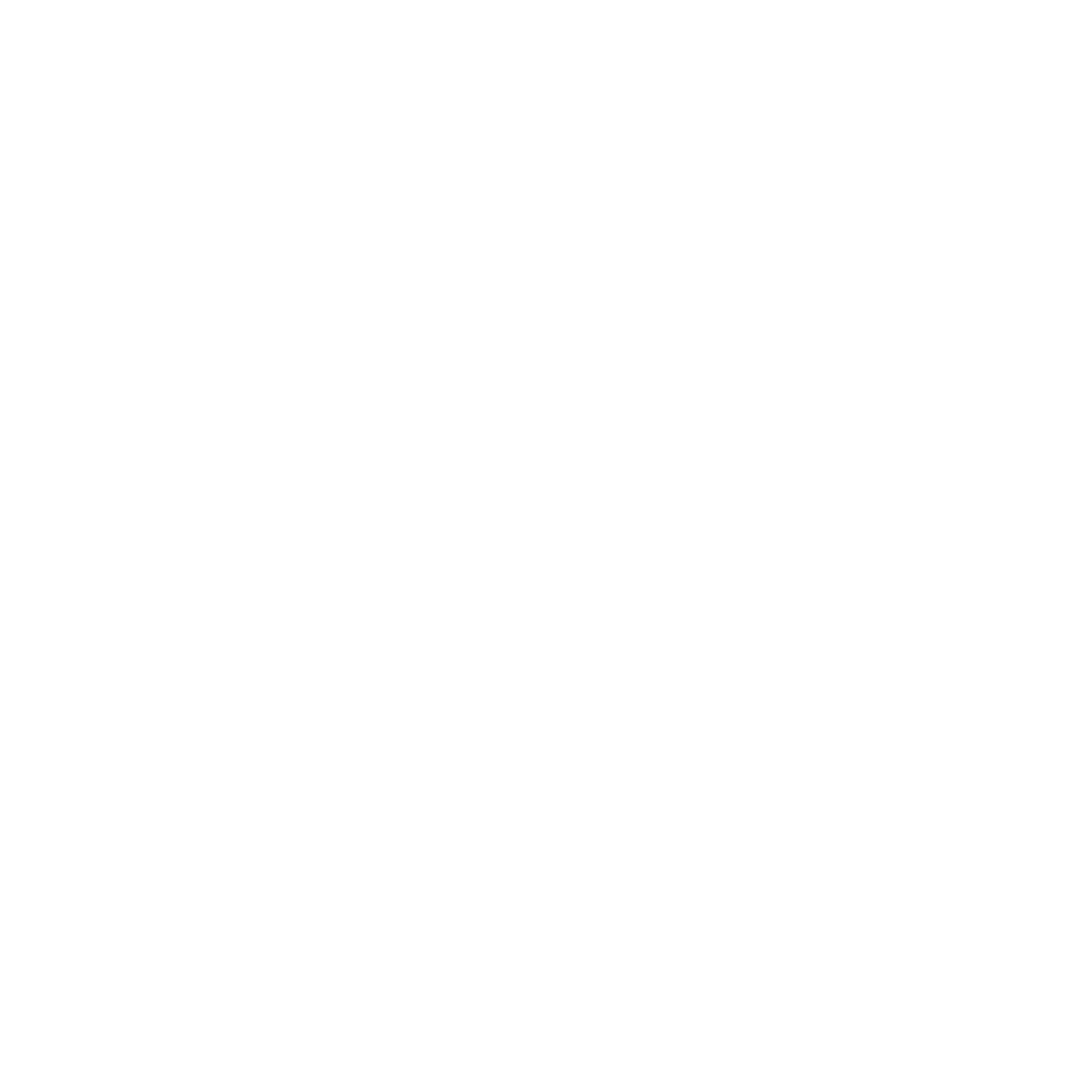 Charity Navigator Four Star v01 white