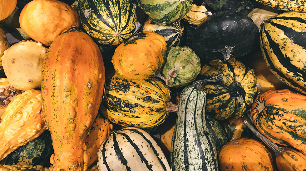 What Foods to Eat This Fall