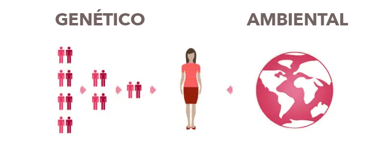 Risk Factors Cause of Cancer Genetic and Environment