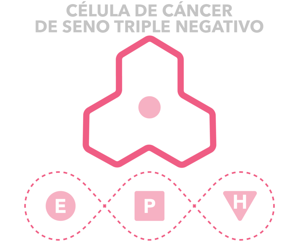Triple Negative Cancer Cell