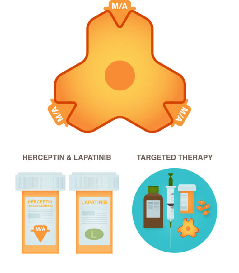 Targeted Therapy National Breast Cancer Foundation