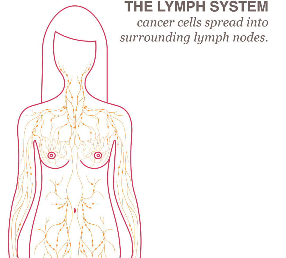 Lymph Node Location Chart